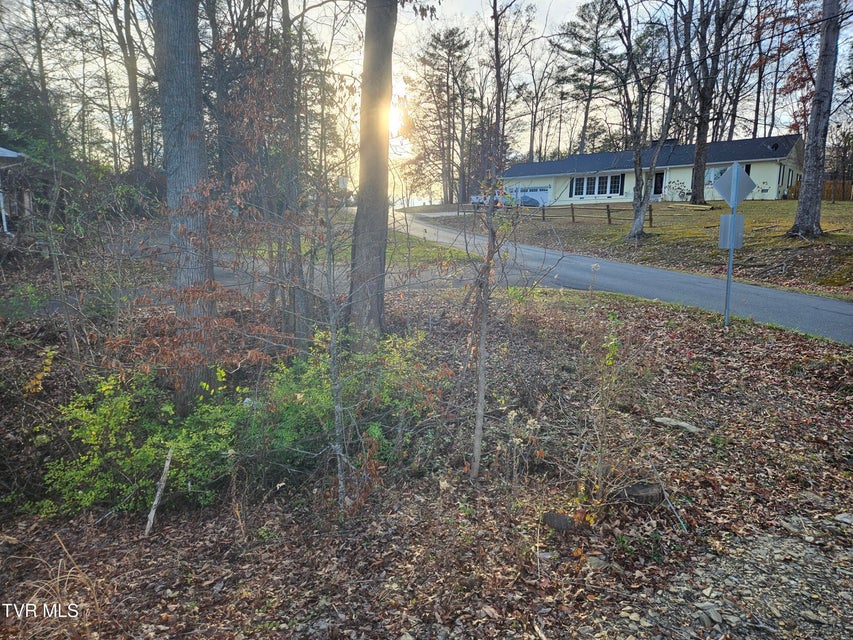 Photo #11: 000 Galax Drive
