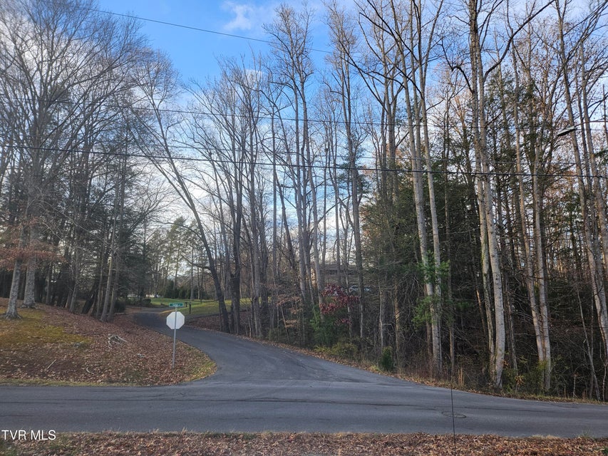 Photo #12: 000 Galax Drive