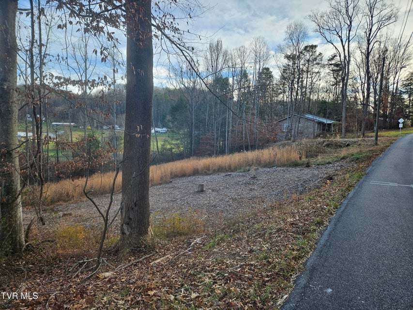 Photo #13: 000 Galax Drive