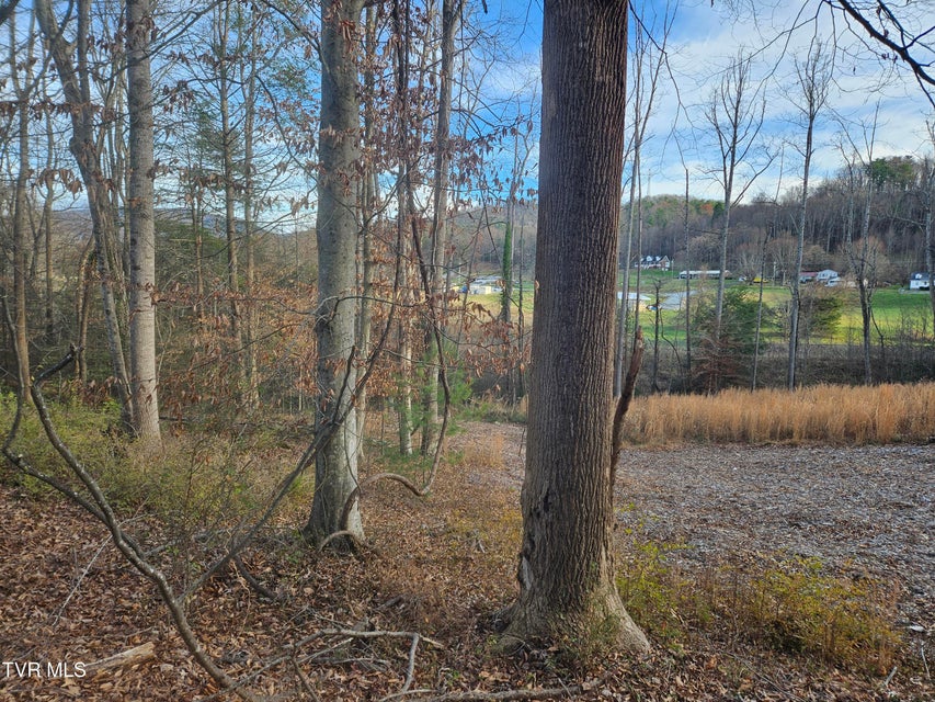 Photo #14: 000 Galax Drive