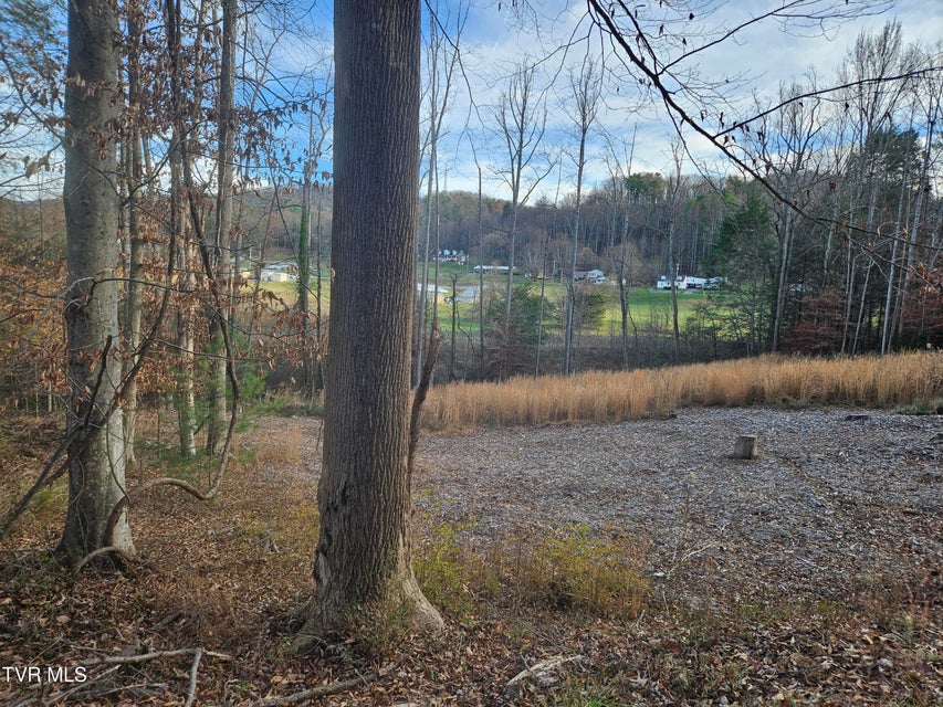 Photo #15: 000 Galax Drive