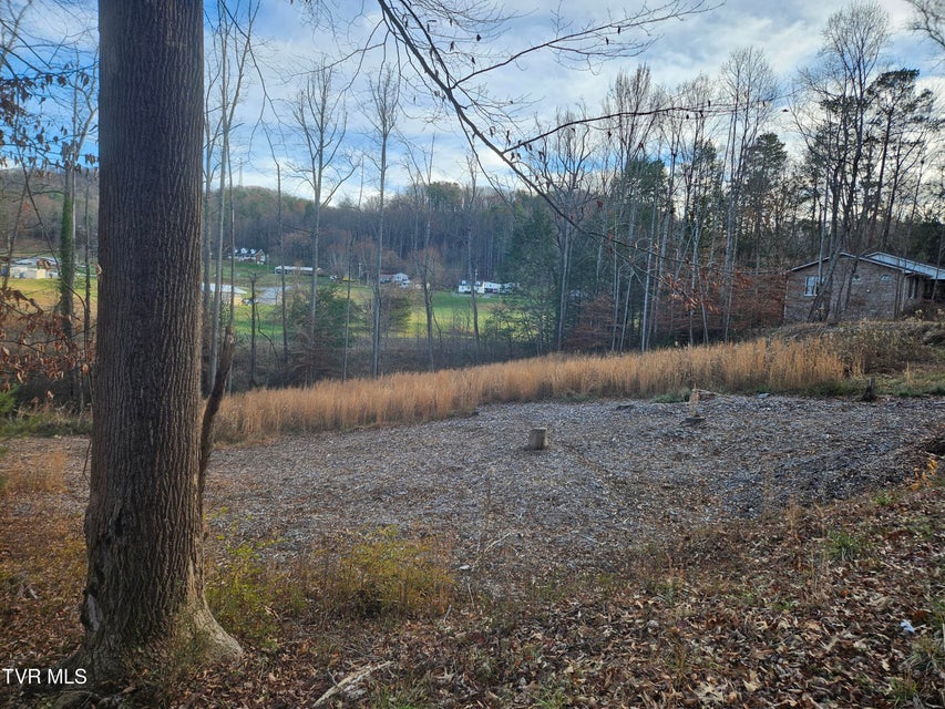 Photo #16: 000 Galax Drive