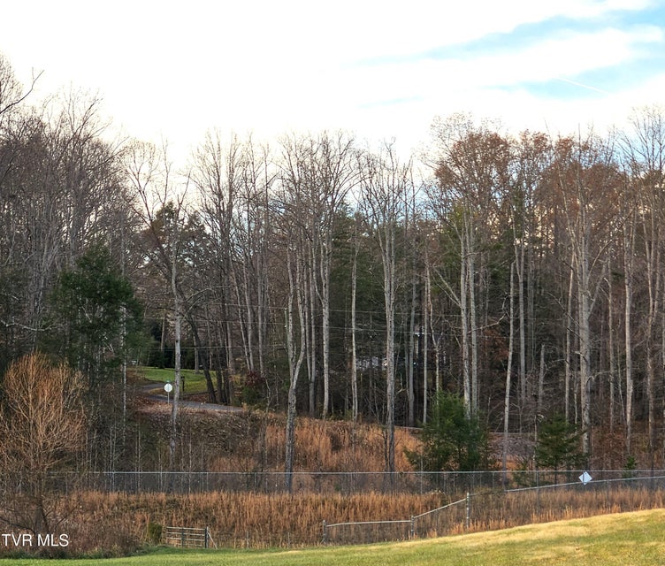 Photo #18: 000 Galax Drive