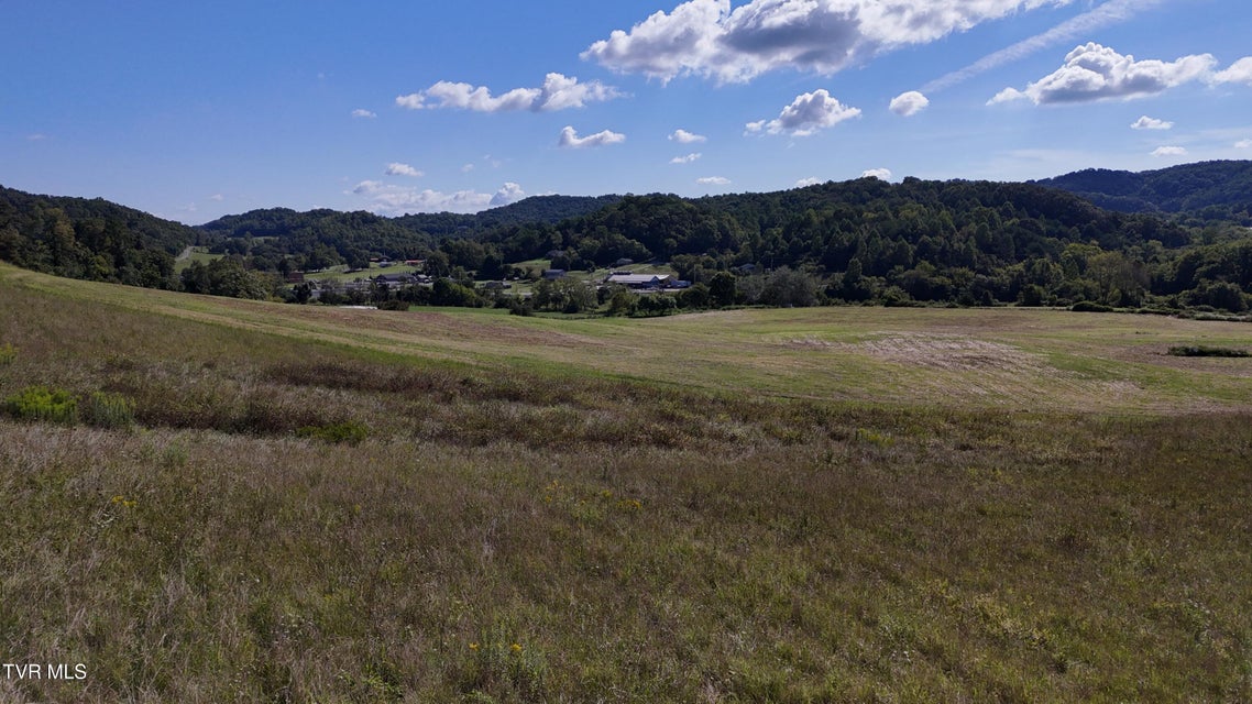 Photo #39: 195 Joe R McCrary Road