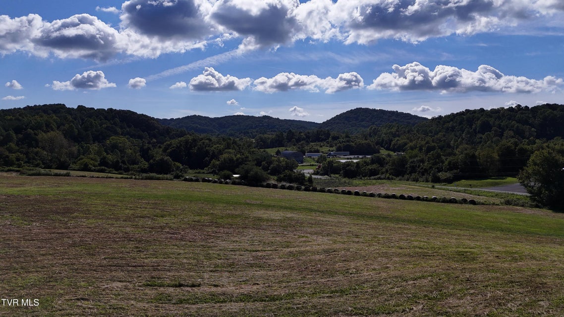 Photo #42: 195 Joe R McCrary Road