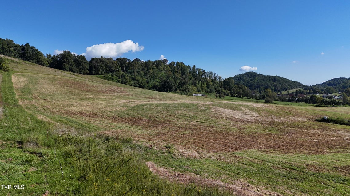 Photo #43: 195 Joe R McCrary Road