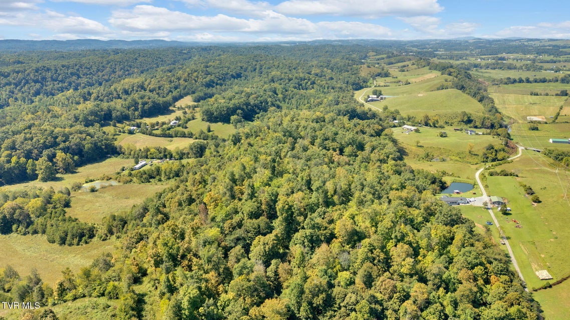 Photo #51: 887 Berry Road