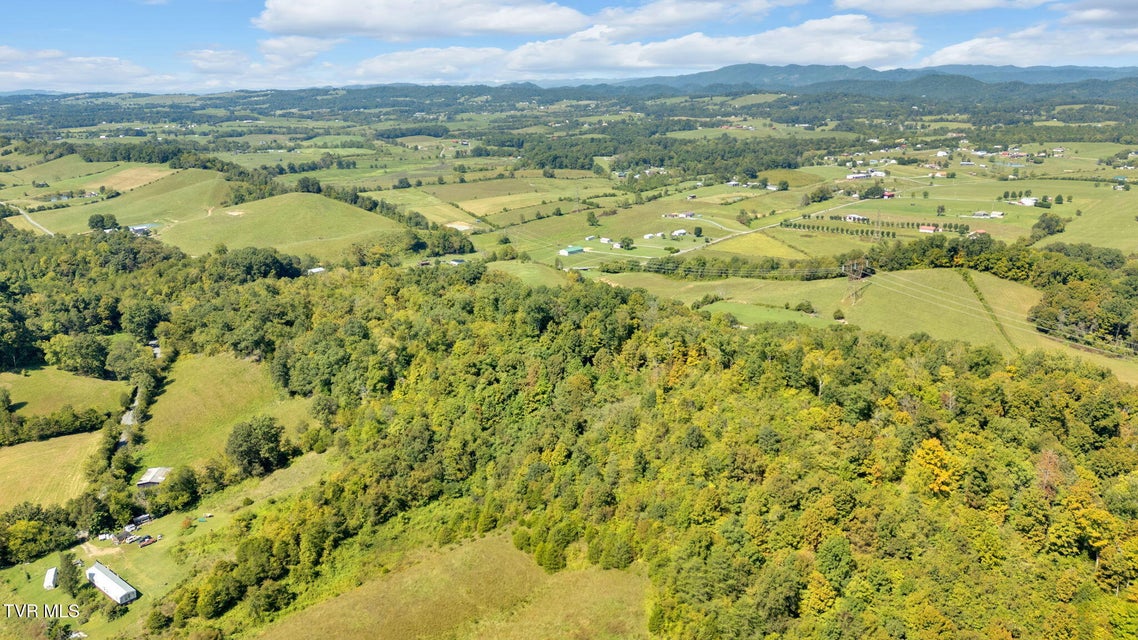 Photo #53: 887 Berry Road