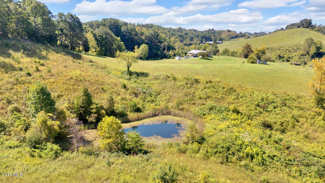 Photo #49: 887 Berry Road