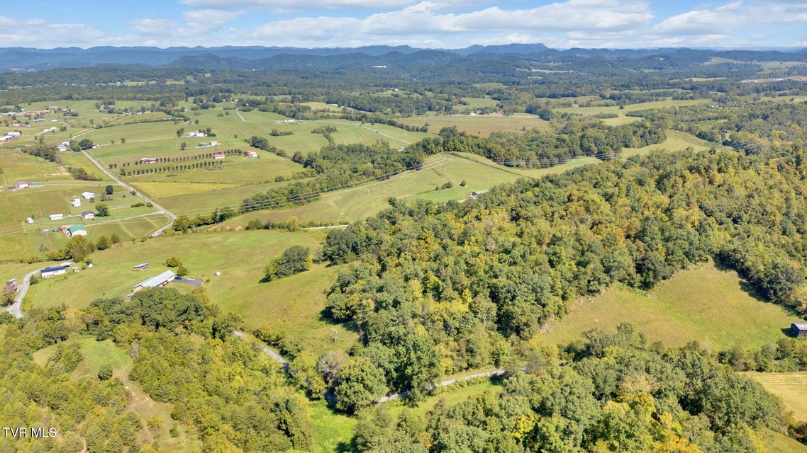 Photo #54: 887 Berry Road