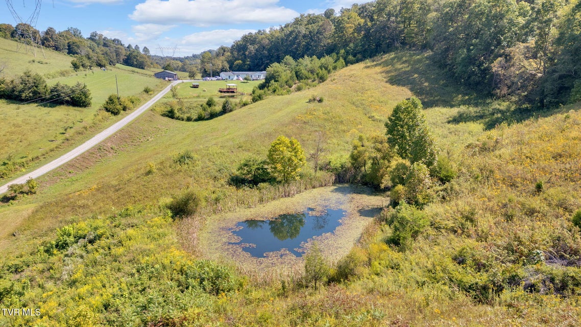 Photo #48: 887 Berry Road