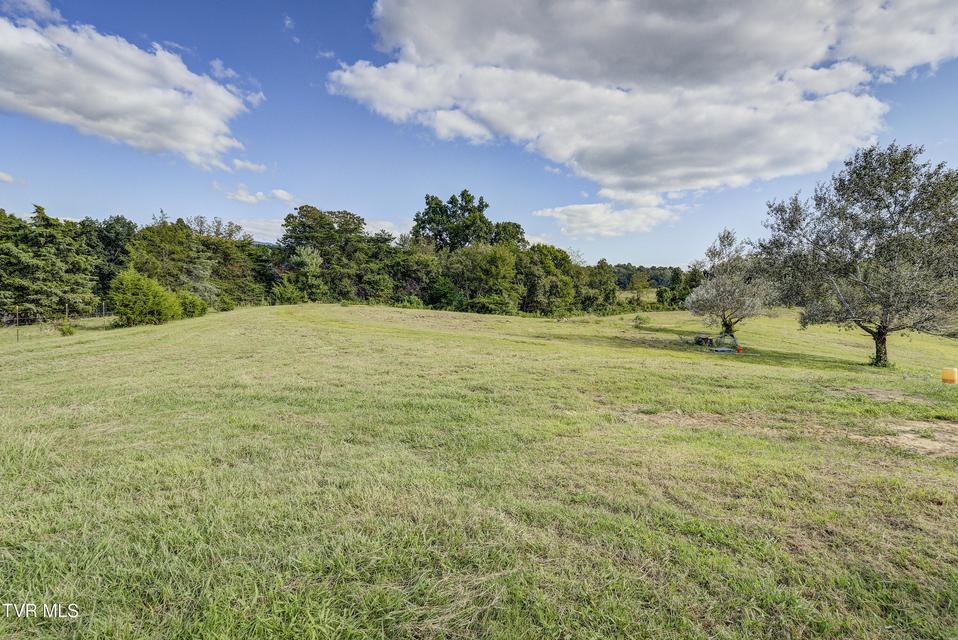 Photo #47: 8845 107 Cutoff 