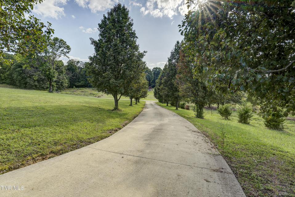 Photo #67: 8845 107 Cutoff 