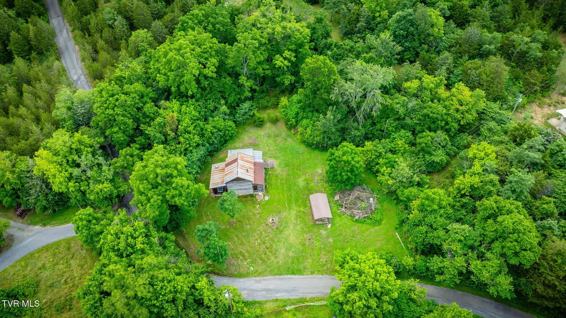 Photo #12: 284 Buzzard Roost Road