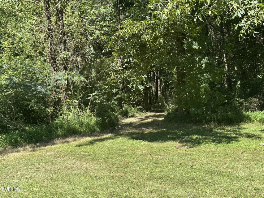 Photo #45: 1635 Kingsport Highway