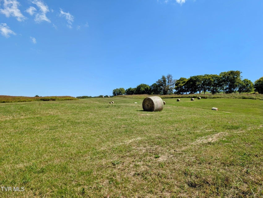 Photo #7: 780 Bright Hope Road