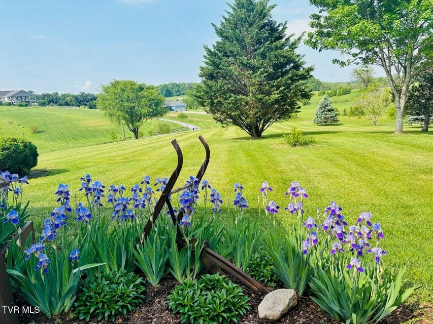 Photo #5: 320 Barren Road