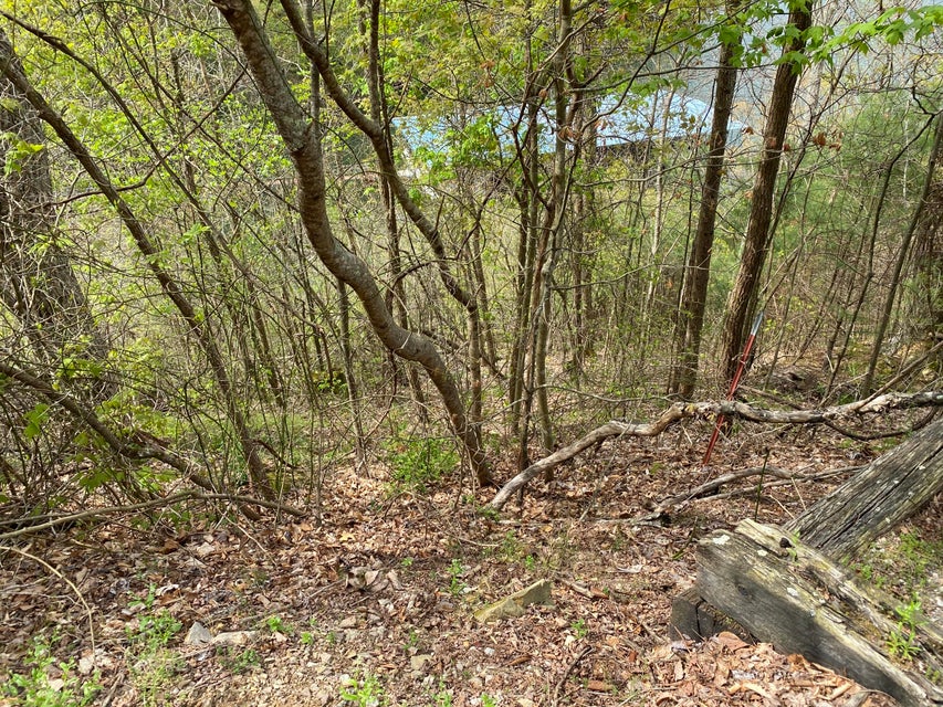 Photo #21: Lot 3 Coves Edge Drive