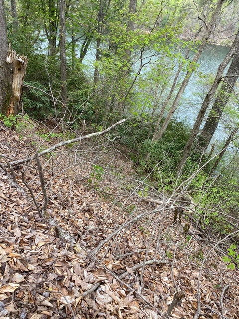 Photo #28: Lot 3 Coves Edge Drive