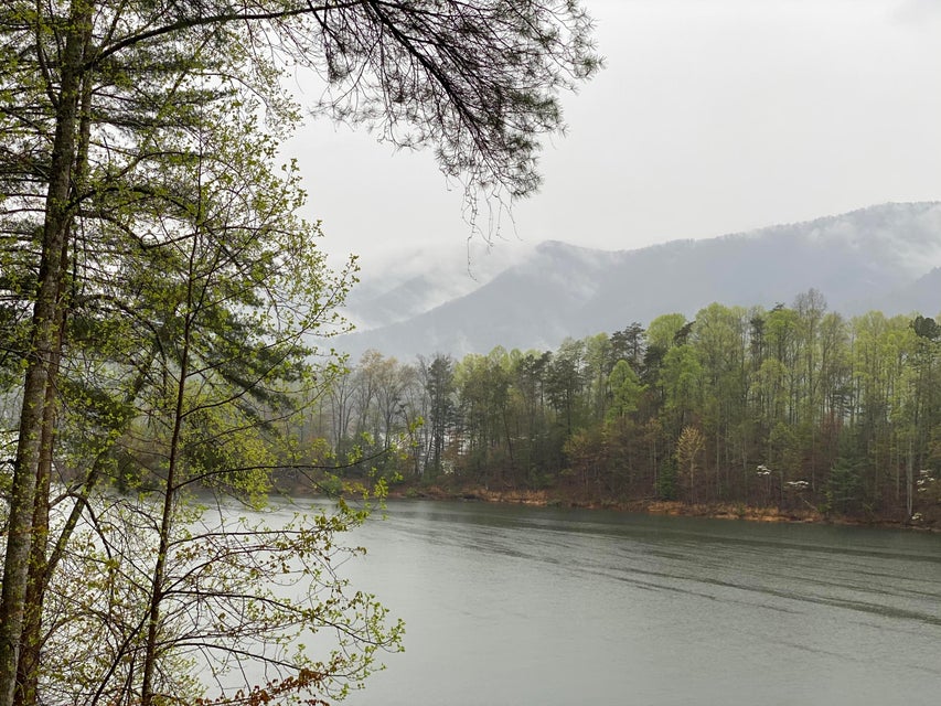 Photo #35: Lot 3 Coves Edge Drive