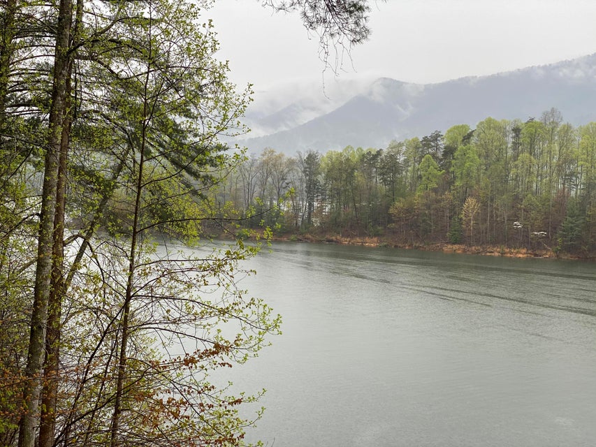 Photo #38: Lot 3 Coves Edge Drive