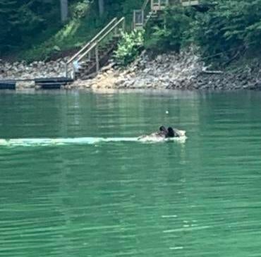 Photo #44: Lot 3 Coves Edge Drive