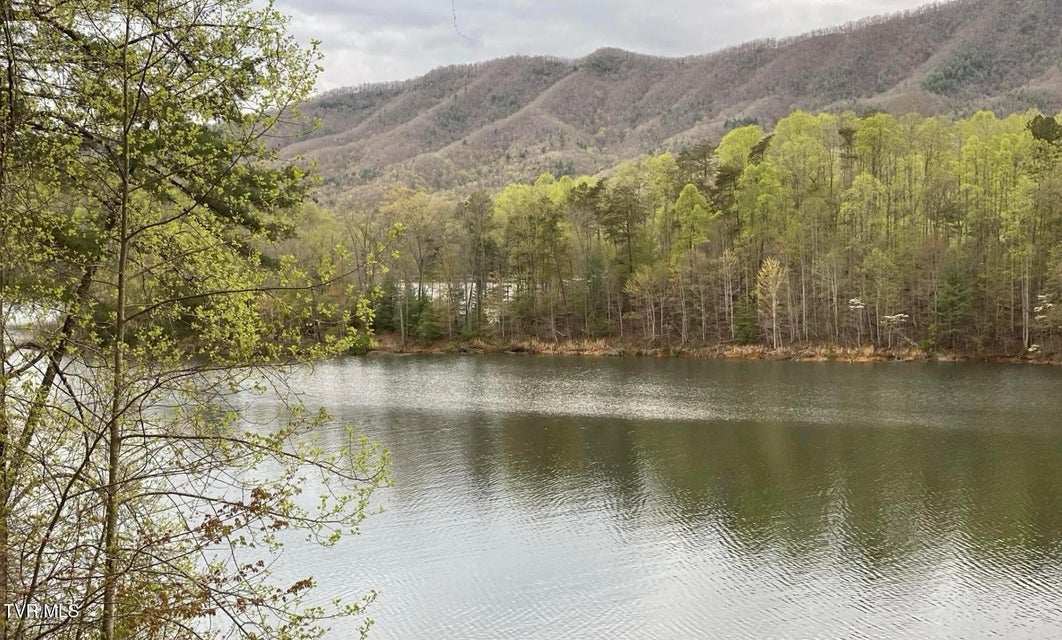 Photo #49: Lot 3 Coves Edge Drive