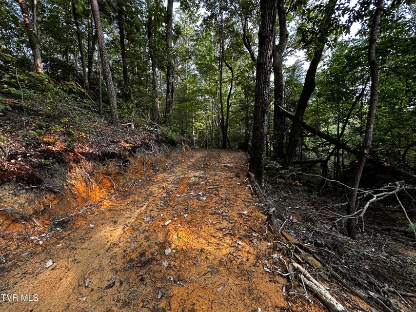 Photo #11: 1700 Kelley Gap Road