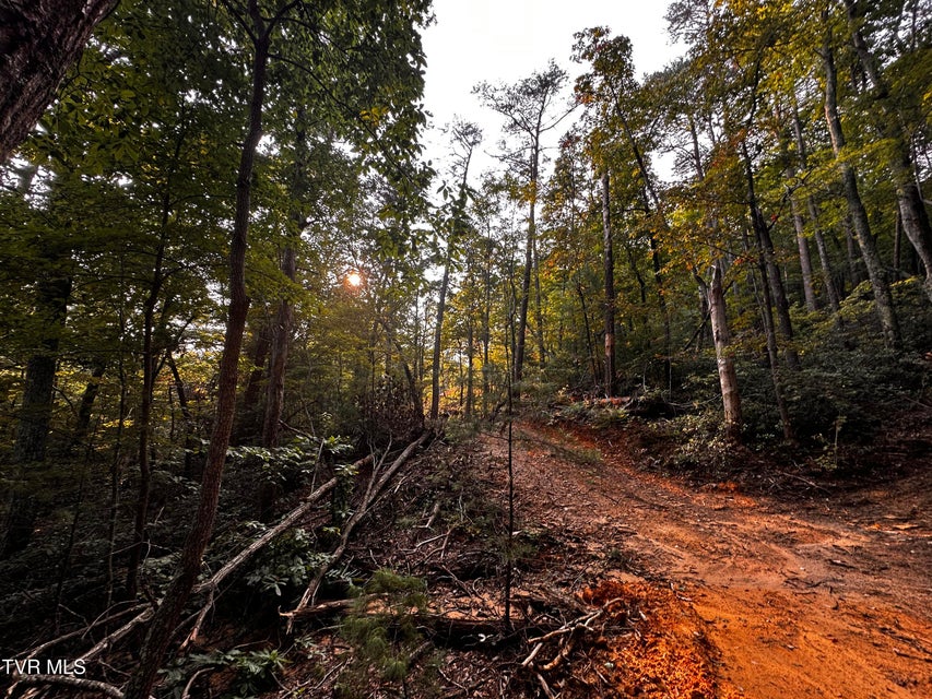 Photo #12: 1700 Kelley Gap Road