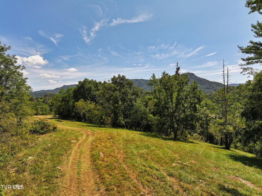 Photo #7: Tbd Willow Springs Road 