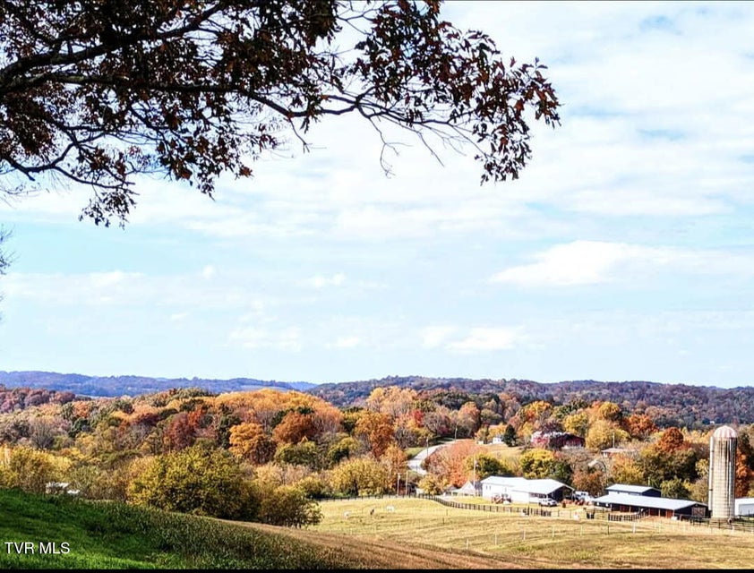 Photo #11: 780 Bright Hope Road