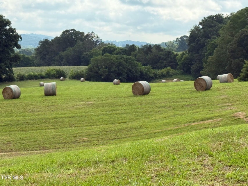 Photo #12: 780 Bright Hope Road