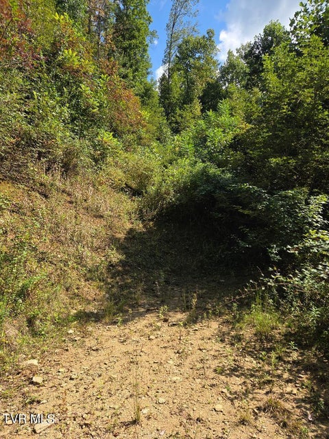 Photo #2: Tbd Tiger Creek Road