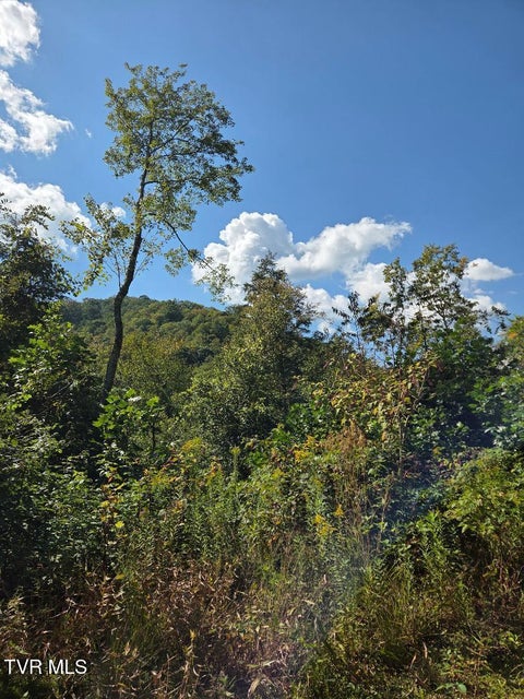 Photo #5: Tbd Tiger Creek Road