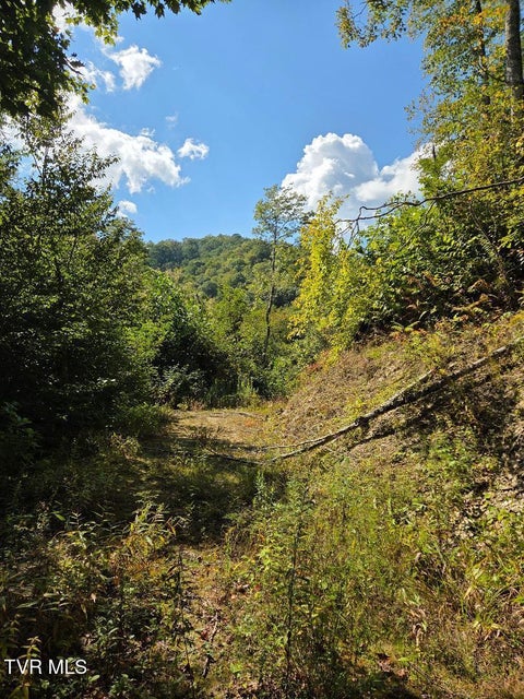 Photo #6: Tbd Tiger Creek Road