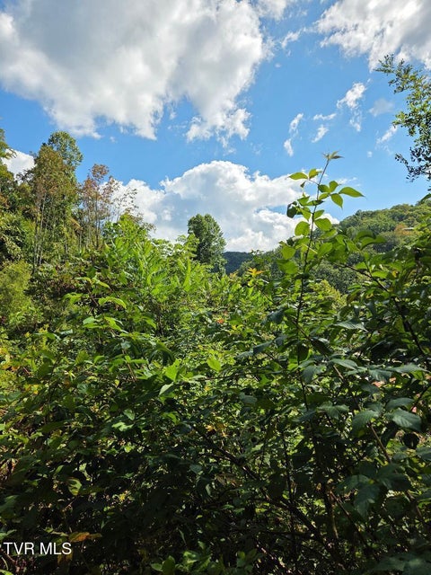 Photo #7: Tbd Tiger Creek Road