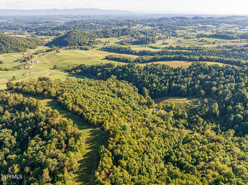 Photo #8: Tbd Harleywood Road