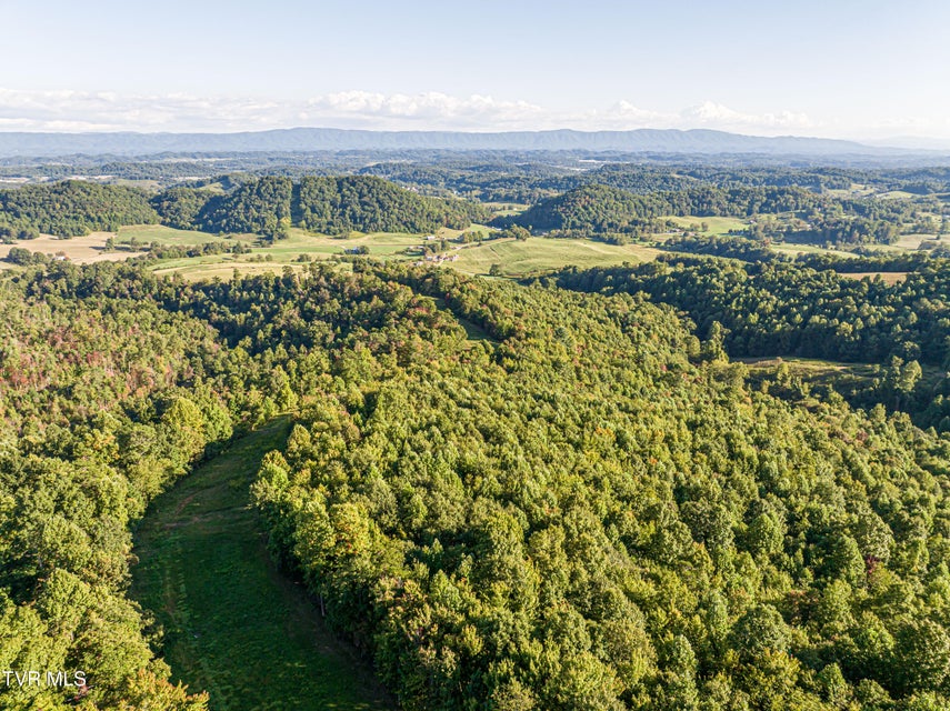 Photo #19: Tbd Harleywood Road