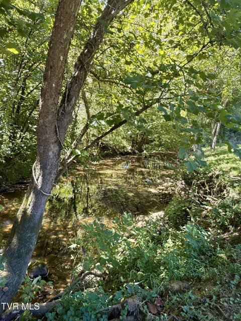 Photo #71: 2418 Beech Creek Road