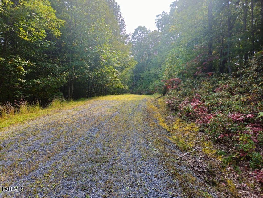 Photo #4: Lot 17 Fox Hollow Drive