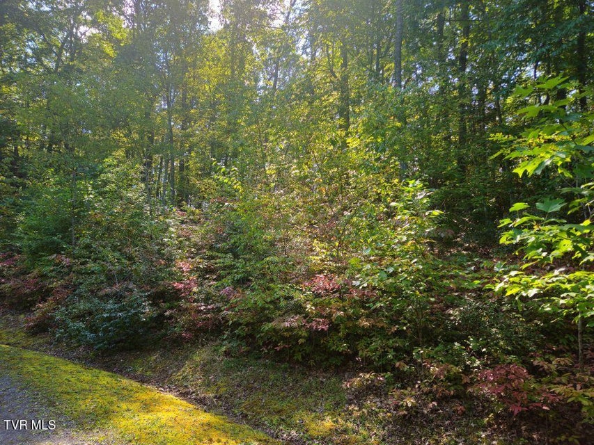 Photo #7: Lot 17 Fox Hollow Drive