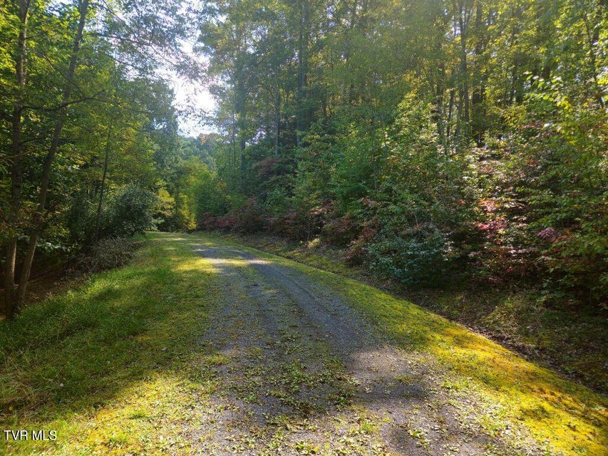 Photo #8: Lot 17 Fox Hollow Drive