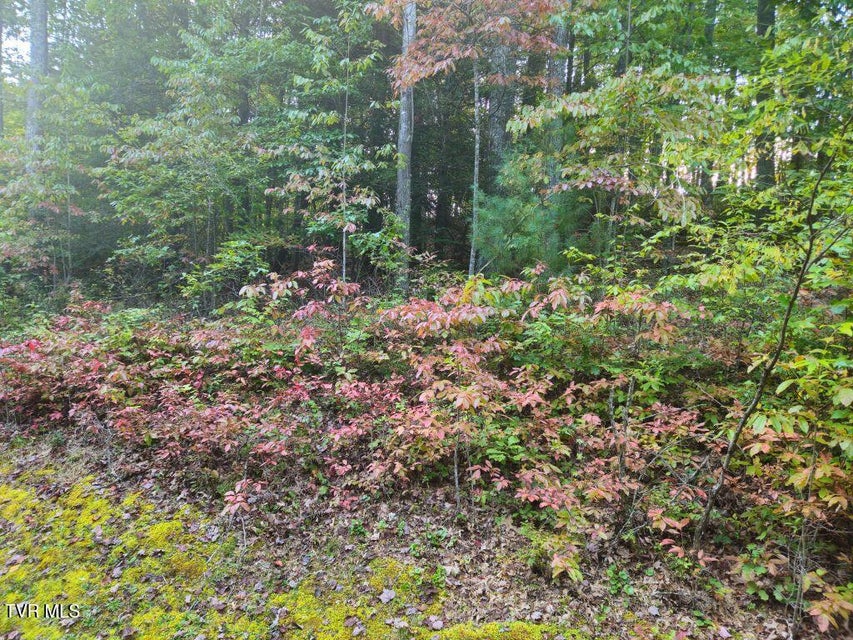 Photo #9: Lot 17 Fox Hollow Drive