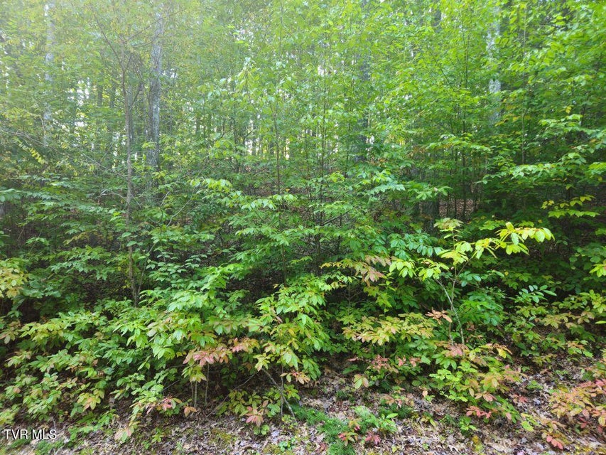 Photo #10: Lot 17 Fox Hollow Drive