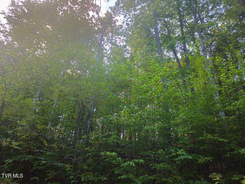 Photo #11: Lot 17 Fox Hollow Drive
