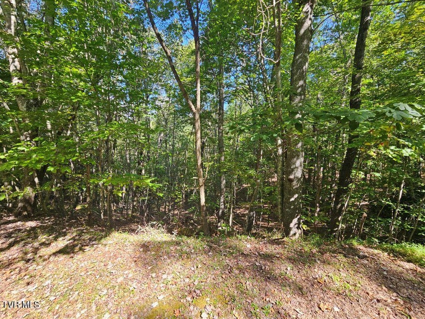 Photo #12: Lot 17 Fox Hollow Drive