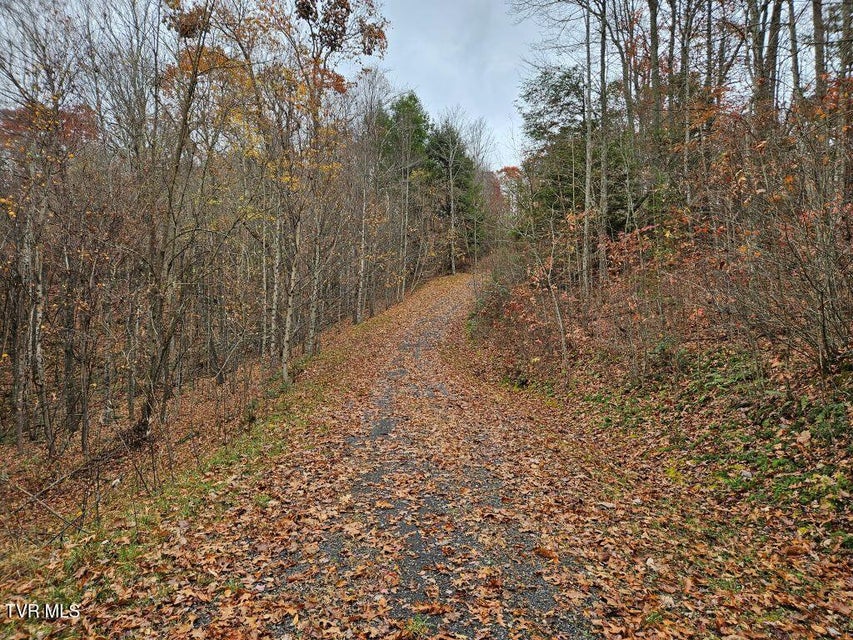 Photo #13: Lot 17 Fox Hollow Drive