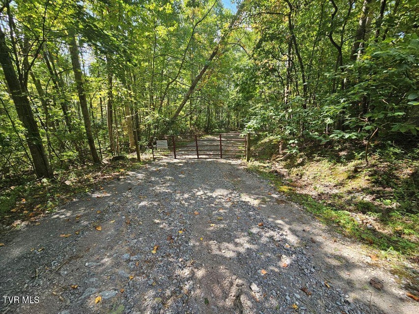 Photo #2: Lot 7 Wildflower Way 