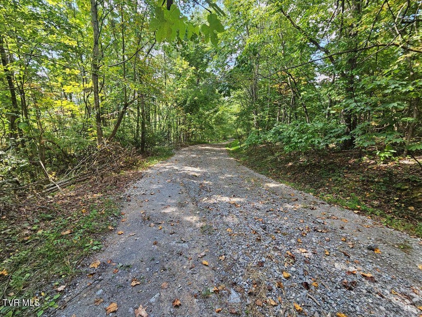 Photo #3: Lot 7 Wildflower Way 