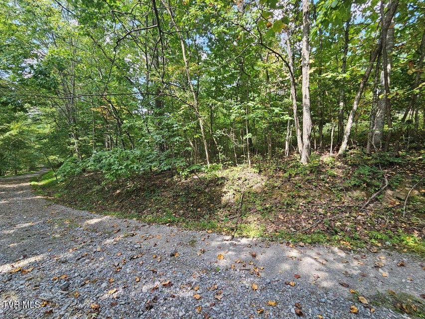 Photo #4: Lot 7 Wildflower Way 